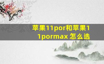 苹果11por和苹果11pormax 怎么选